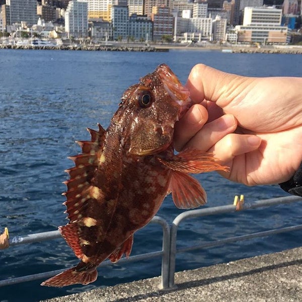 Photos At 熱海港海釣り施設 和田浜南町1694 32