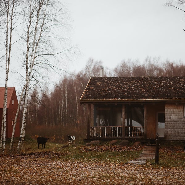 Хутор утешение. Утешение (деревня). Хутор утешение. Хутор утешение на чудском. Хутор утешение.