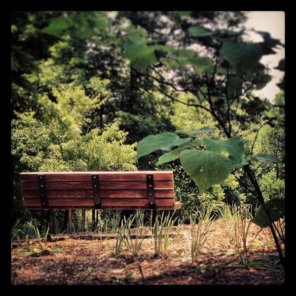 Suwanee Creek Park Park in Suwanee