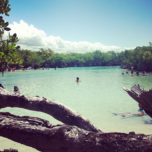 Gilligan's Island (Cayo Aurora) - Guánica, Guánica Municipio
