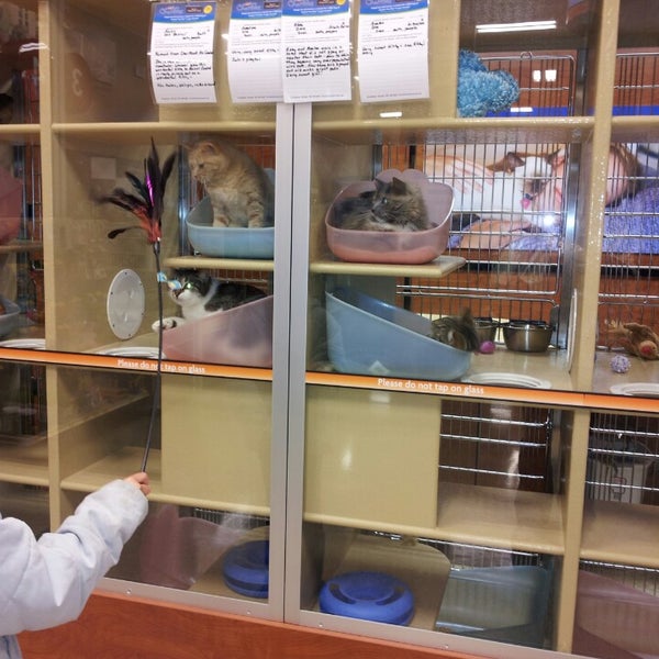 PetSmart Pet Store in Charlotte