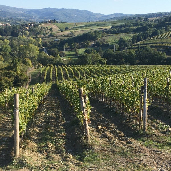 Photo prise au IL VINAINO DI GREVE par Radek H. le10/11/2019