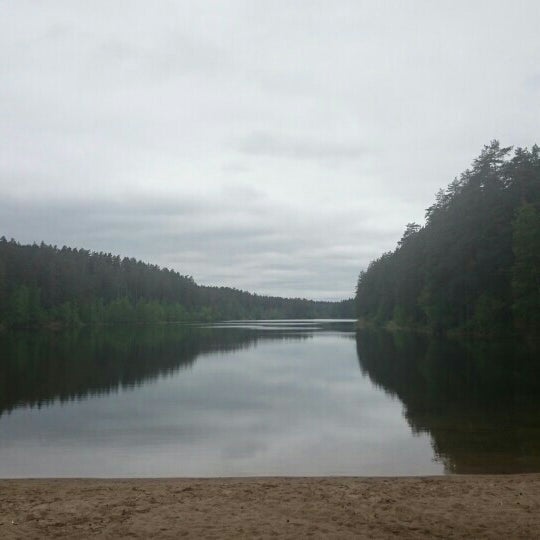 Озеро берестовое