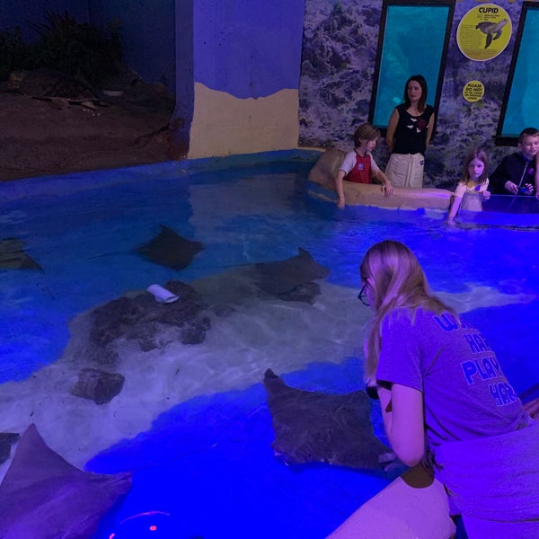 Photo prise au Clearwater Marine Aquarium par Deena S. le11/29/2019