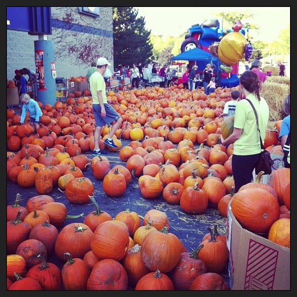 Larry's Piggly Wiggly Little Chute Grocery Store