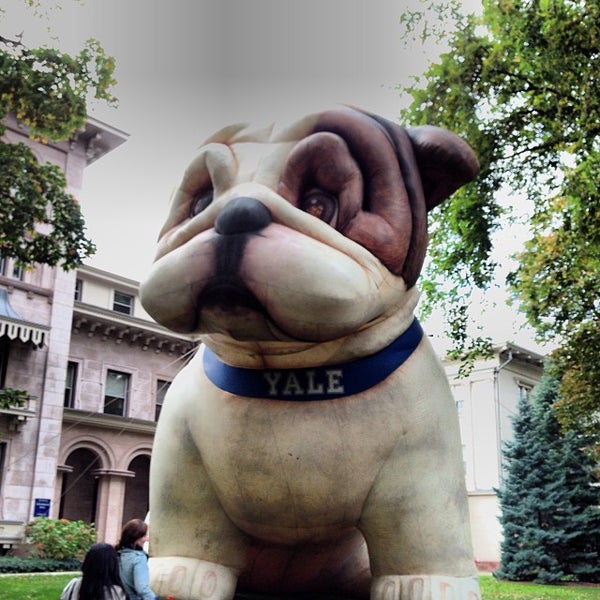 Photos at Yale University Steinbach Hall Downtown New Haven 52