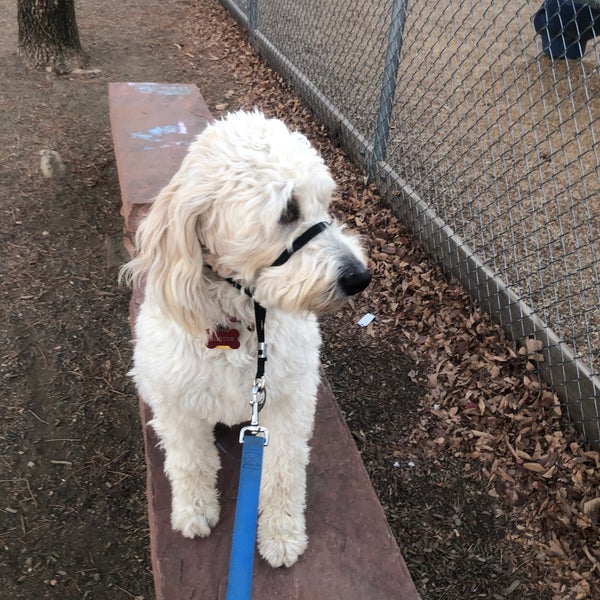 Starbucks Coffee Shop in Denver International Airport