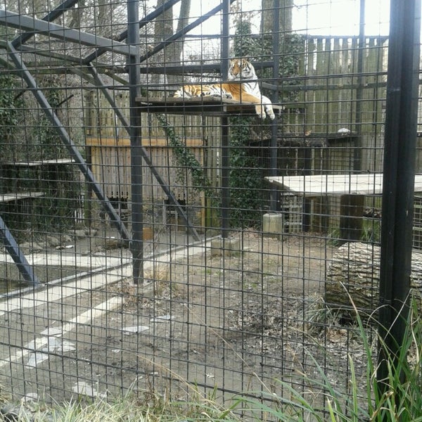 Foto scattata a Brandywine Zoo da Ellen M. il 3/3/2013