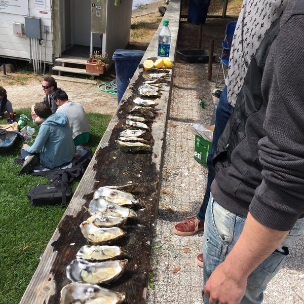 Photo taken at Tomales Bay Oyster Company by Justin W. on 9/3/2016