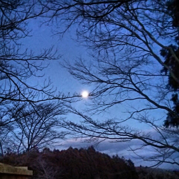 コテージ 桜の丘 21 Visitors