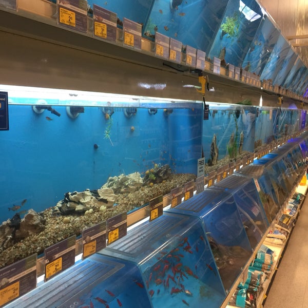 PetSmart Sherwood Tualatin South Tualatin, OR