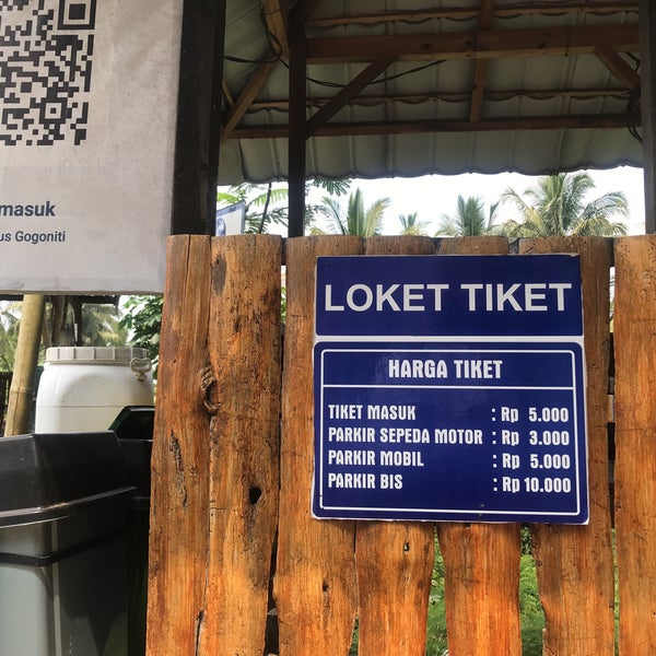 Menemukan Kedamaian di Tengah Hutan Pinus Gogoniti