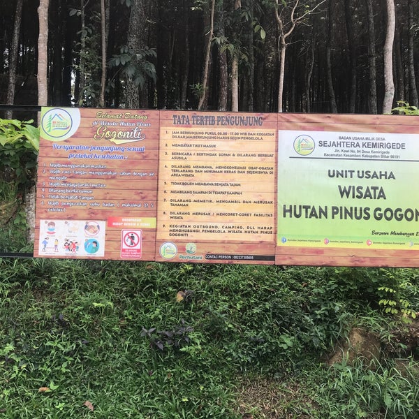 Aktivitas Seru di Hutan Pinus Gogoniti