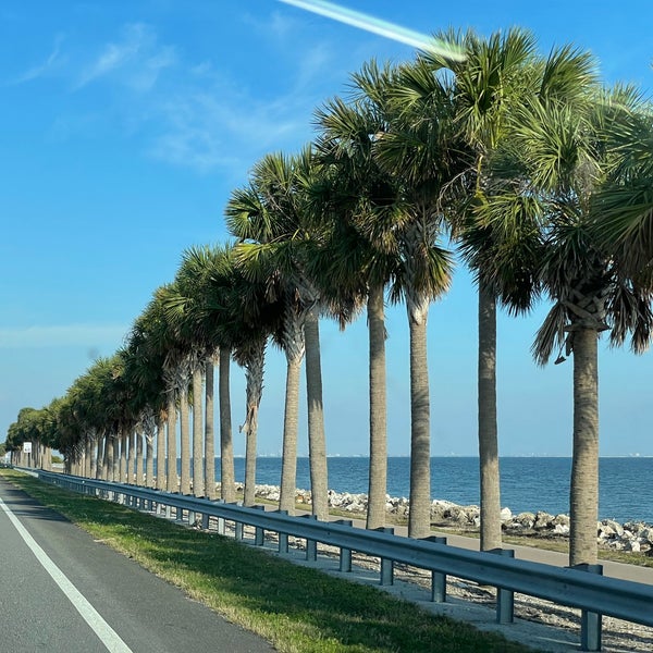 Courtney Campbell Causeway Village of Tampa 22 tips