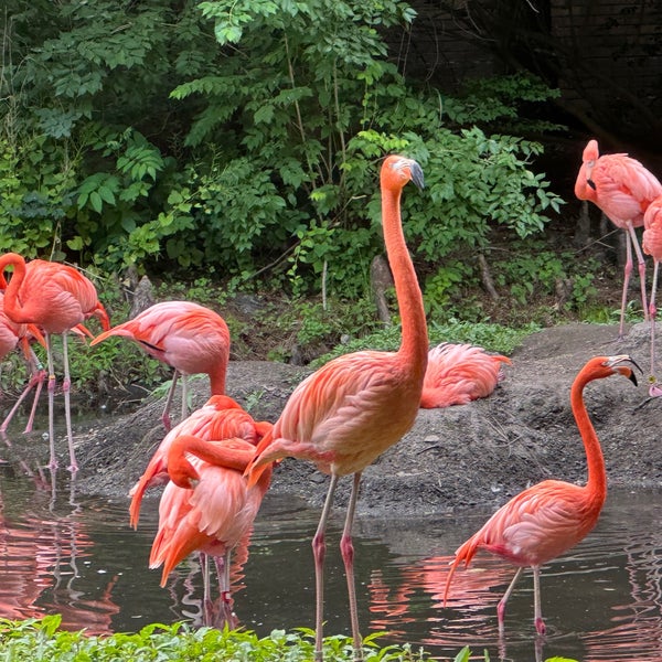 Foto diambil di Bronx Zoo oleh Anna W. pada 6/10/2023