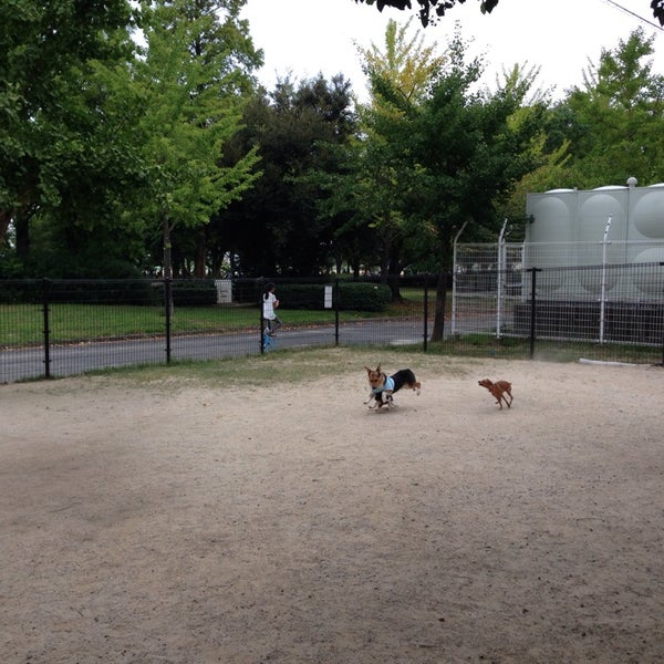 西部運動公園 ドッグラン 福岡市 福岡県