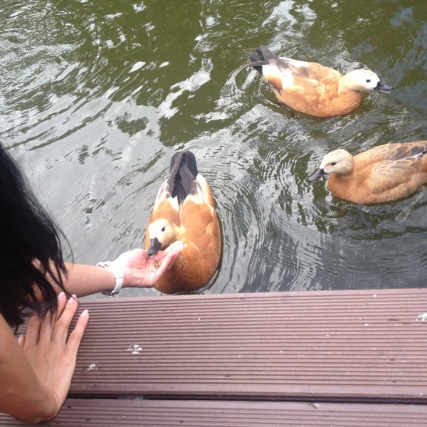 7/19/2013にOlya Z. .がGorky Parkで撮った写真