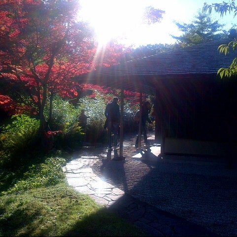Photos At Japanisches Teehaus Kanshoan Tea Room In Munchen