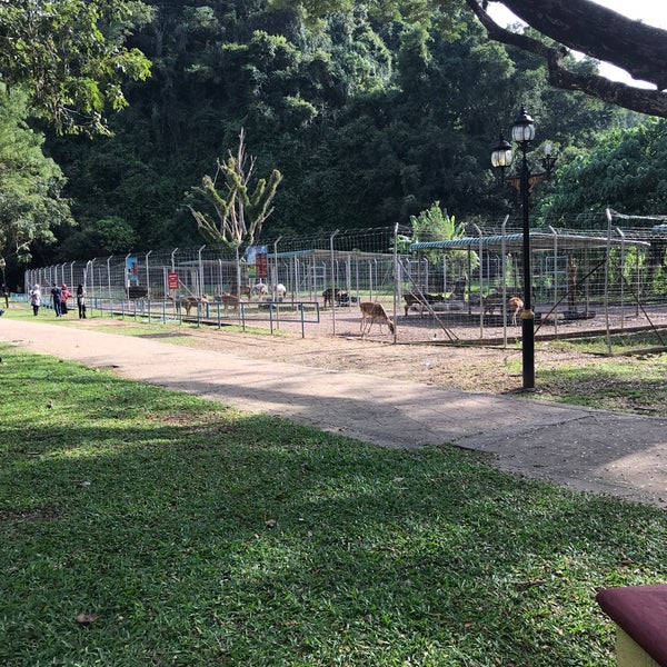 Mini Zoo Gunung Lang 79 Visitors