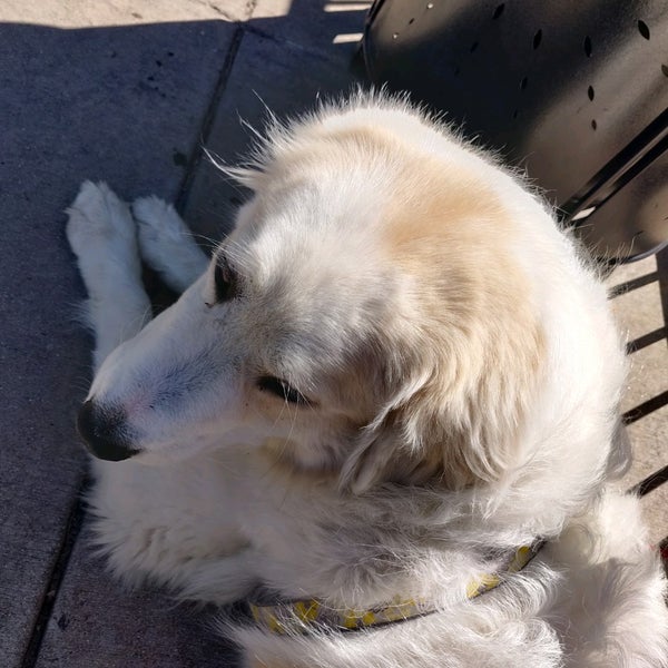 Corner Bakery Cafe Highlands Ranch, CO