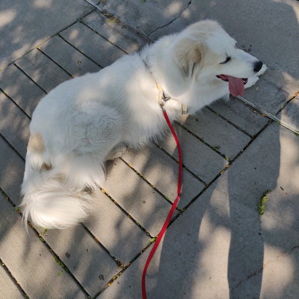 Corner Bakery Cafe Highlands Ranch, CO