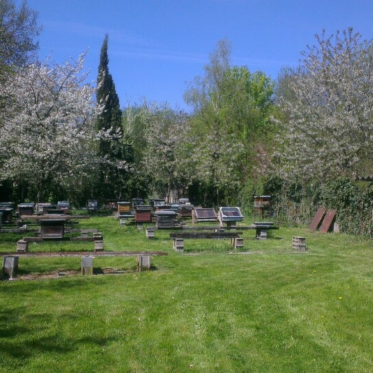 Parc de la Maison de retraite des Frères des Écoles Chrétiennes 3 visitors