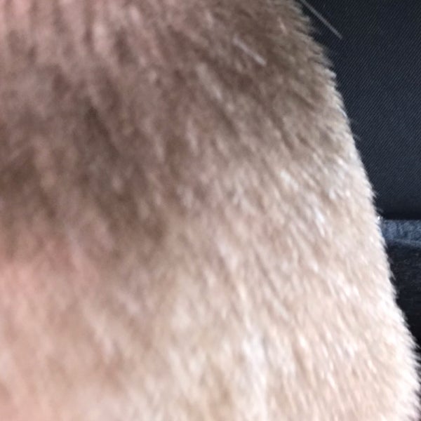 Great Clips Hair Salon in Richmond