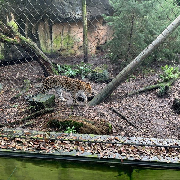 Foto tirada no(a) Audubon Zoo por Travis B. em 3/2/2019