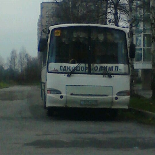Софийская 40 бассейн Олимп