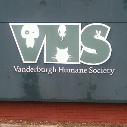 Vanderburgh county humane society how to kill rat humanely