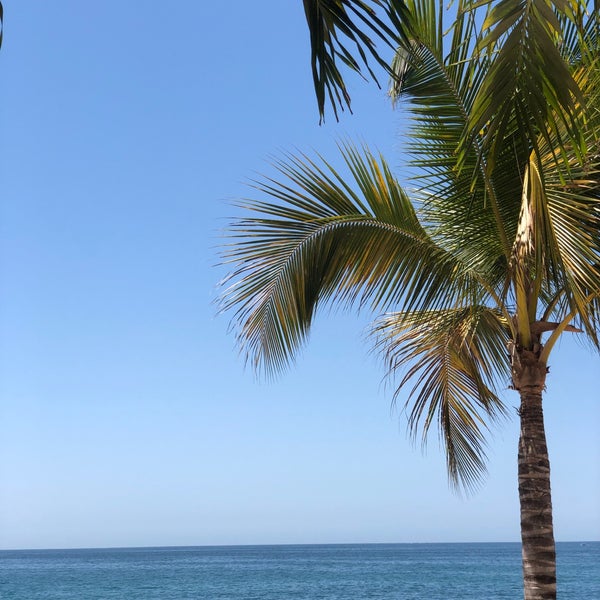 3/28/2019にManu N.がHilton Vallarta Riviera All-Inclusive Resortで撮った写真