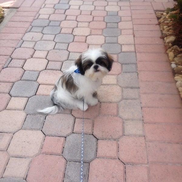 Photos At The Pet Care Clinic And Mary S Grooming 1 Tip