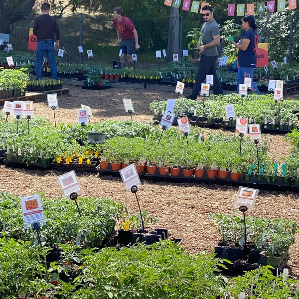 Tapia Brothers Encino, CA