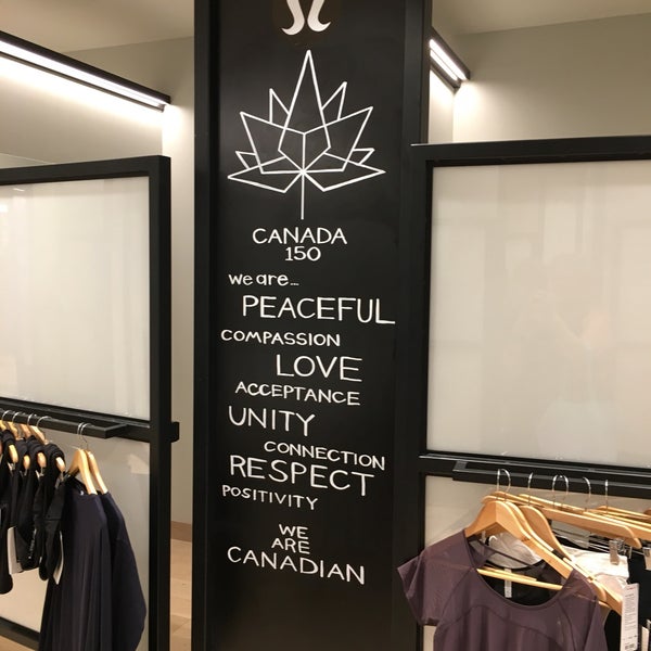 jockey padded wire free comfort bra