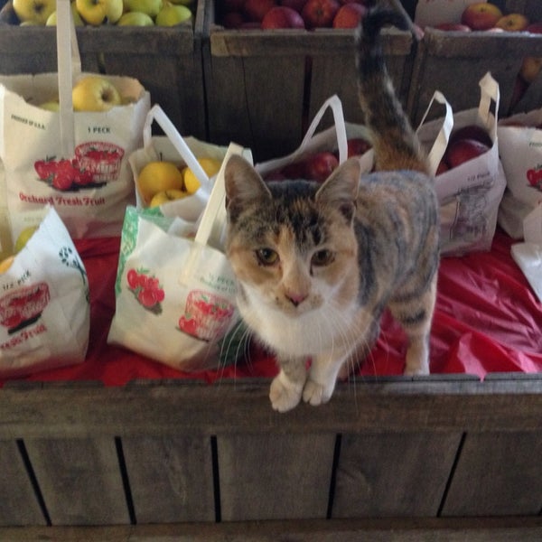 Dutton Farms Food and Beverage Retail in West Brattleboro