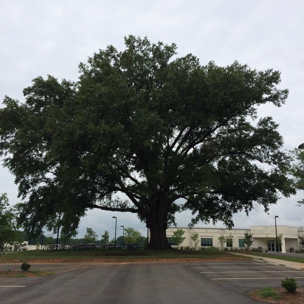 York Preparatory Academy Rock Hill, SC