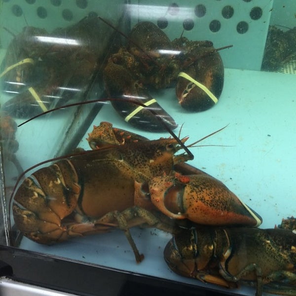 Photos at ShopRite of Vailsgate Grocery Store in Vails Gate