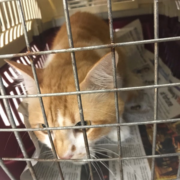 Photos At Klinik Veterinar Dwitasik Cheras Bdr Sri Permaisuri