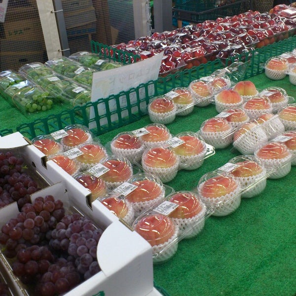 葉菜の森 和泉市 大阪府