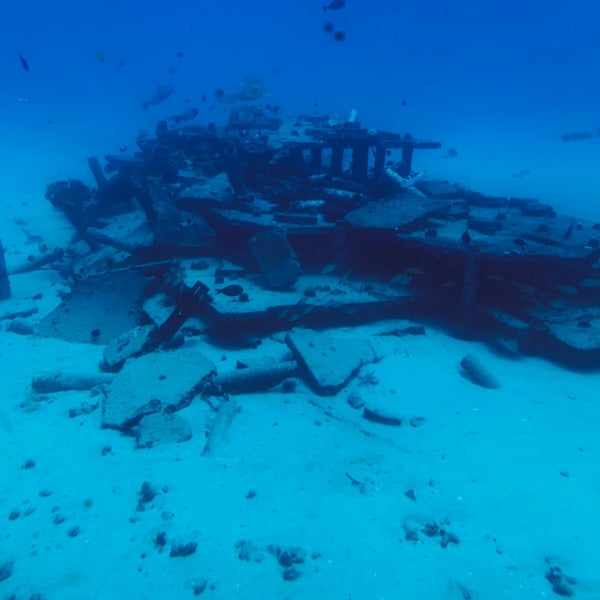 4/11/2019にAlvin F.がAtlantis Submarines Waikikiで撮った写真