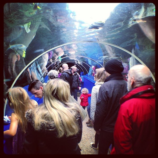 Foto tomada en Oceanarium, The Bournemouth Aquarium  por Richard H. el 4/1/2013