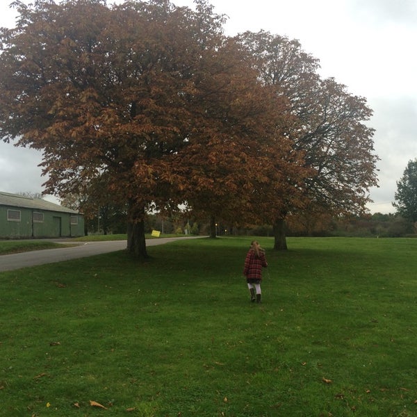 Расписной забор. Пляж кангу. Интел 4. Eticket. Стрит арт на стене.