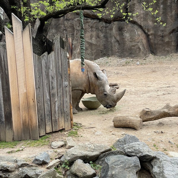 4/16/2023 tarihinde Rolling Stoneziyaretçi tarafından Philadelphia Zoo'de çekilen fotoğraf