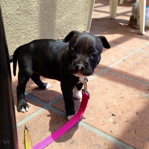 Photos at Fountain Valley Hand Car Wash 5 tips from 225 visitors