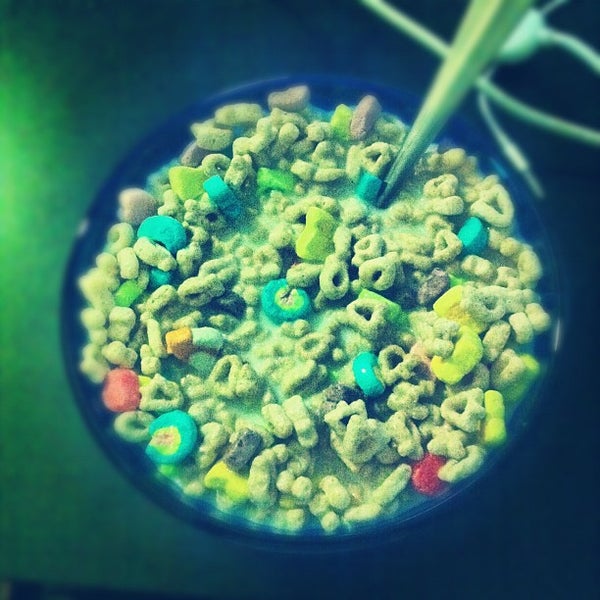 Cooper Union Residence Hall East Village New York, NY