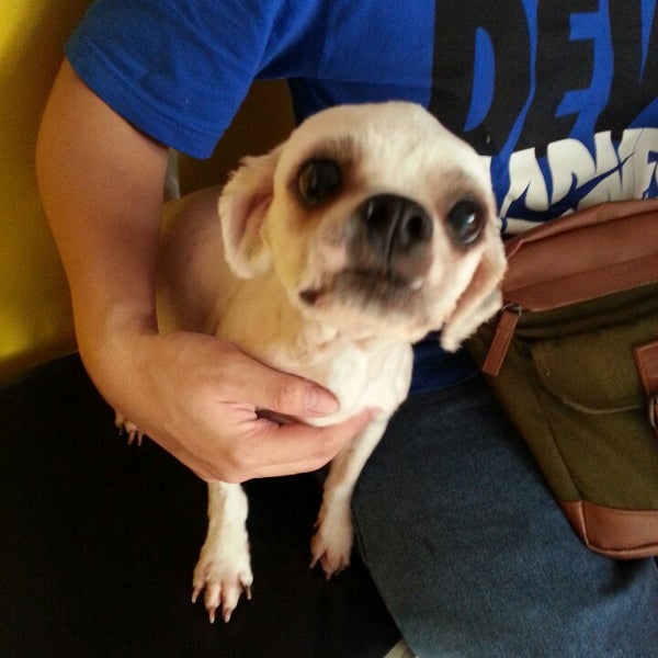 LG Veterinary Clinic Pet Supplies Store in Marikina City