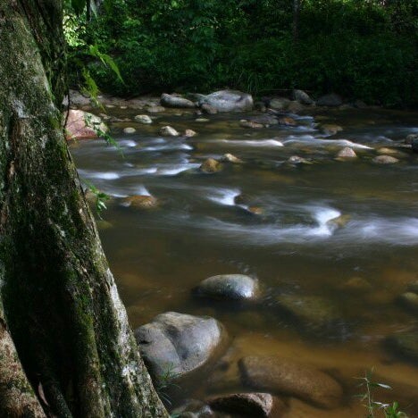 Gunung Belumut Kluang Johor