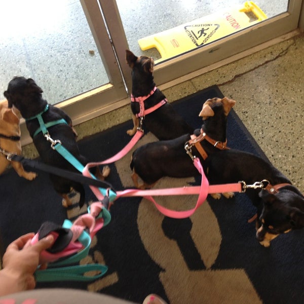 berwyn veterinary hospital