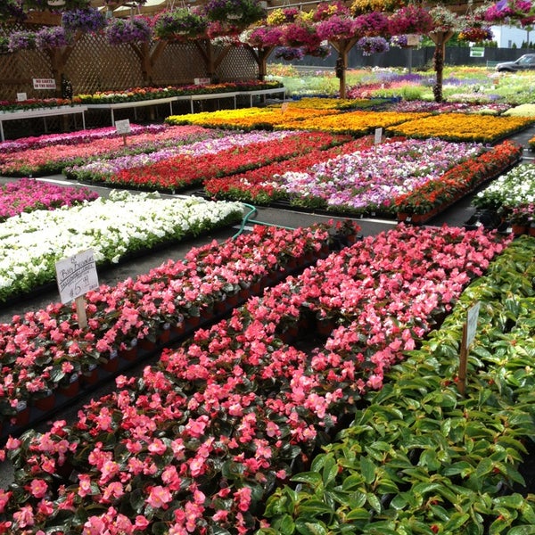 Maple Grove Nursery Flower Store