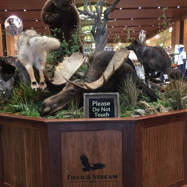 Field & Stream Outdoor Supply Store in North Charleston